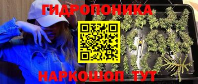 гашишное масло Аргун