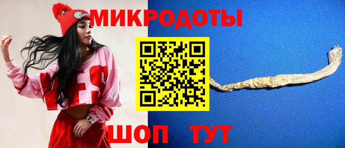 Галлюциногенные грибы Psilocybine cubensis  Псилоцибиновые грибы прущие грибы  цена   Вход с VPN  Белогорск 
