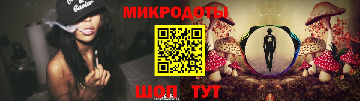 Псилоцибиновые грибы Cubensis Белогорск